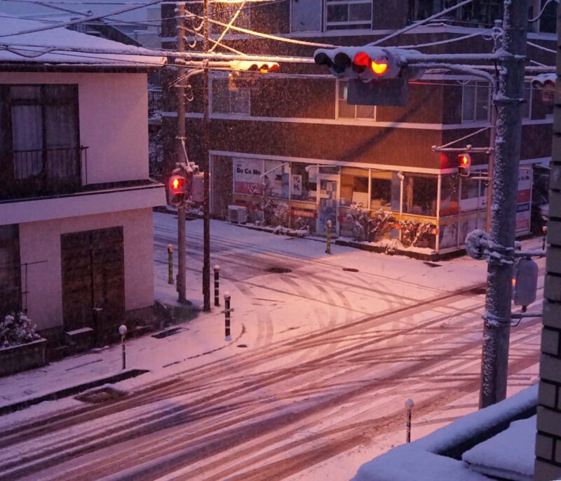 雪降りでした 市川内科医院 院長のブログ 休憩室