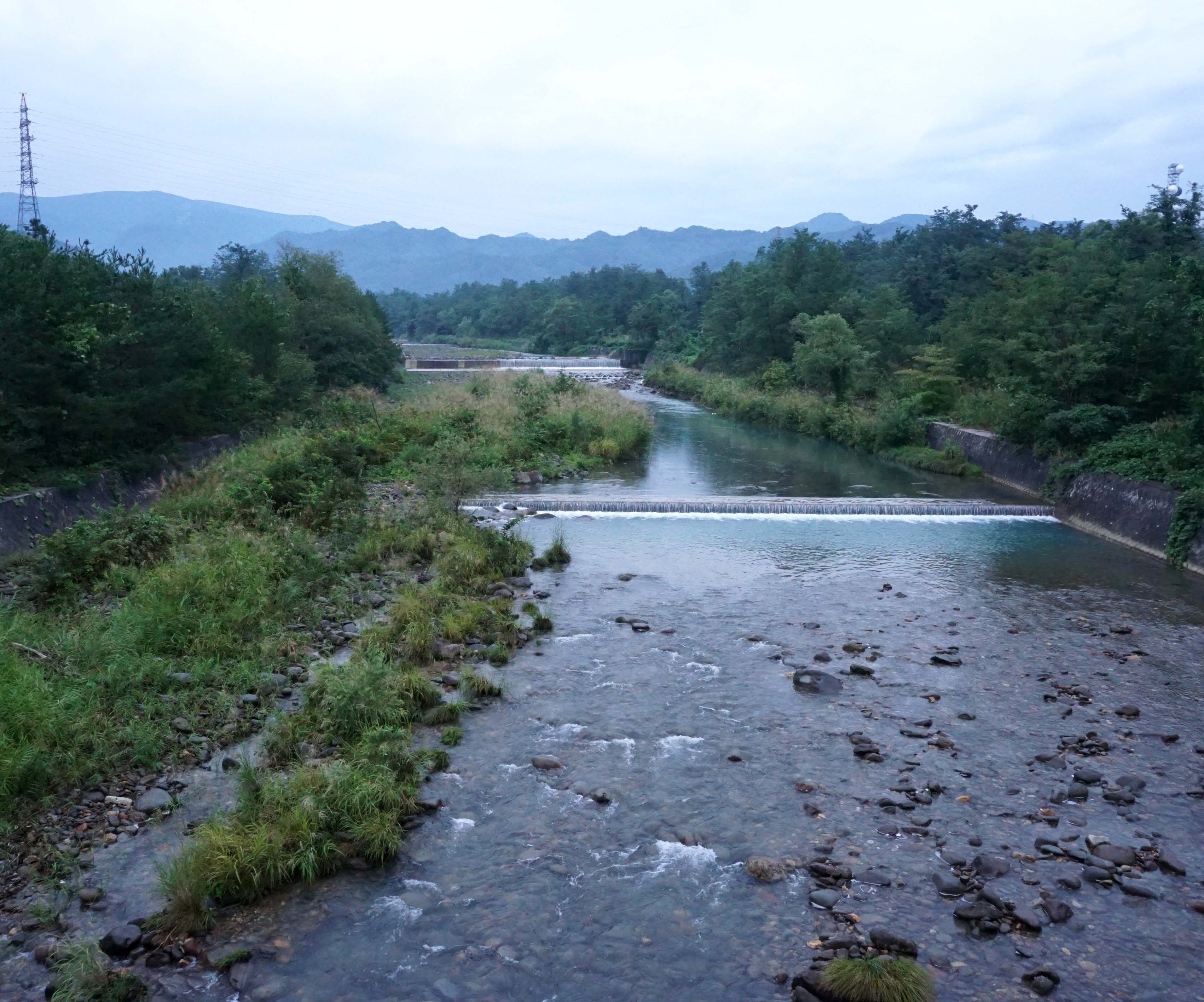 最上川 市川内科医院 院長のブログ 休憩室